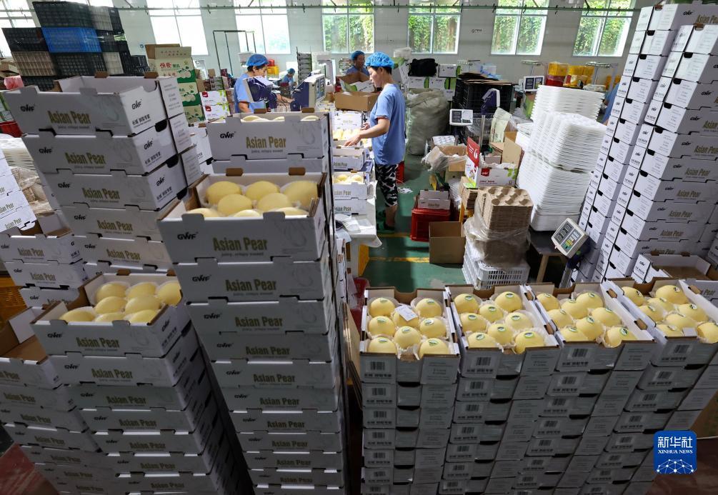 游戏新普京网址